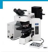 日本奥林巴斯BX51/61正置显微镜V