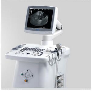 一体式超声引导妇科宫腔手术仪 EMP-5600