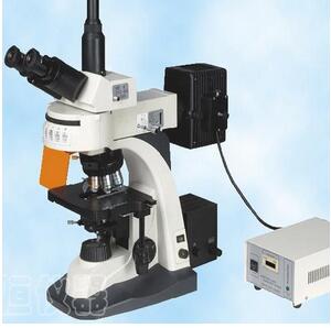 全波段荧光显微镜XYL-580