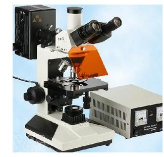 三目落射荧光显微镜XYL-13
