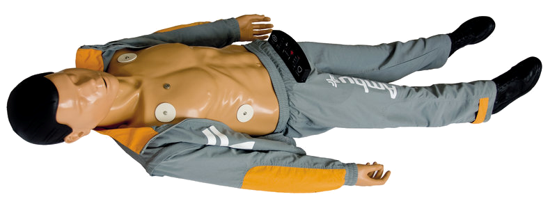 安保心肺复苏模拟人无限型Ambu Man W