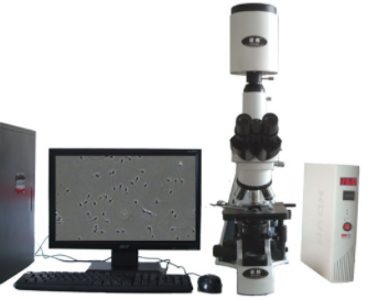 迈朗动物精子分析仪ML-500JZ