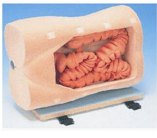 结肠镜检查训练模型 KAR/LV42