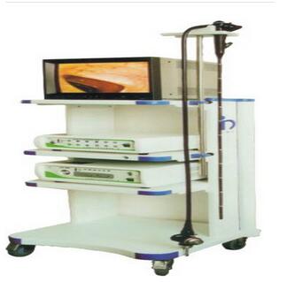 电子上消化道镜(电子胃镜)EMV-200