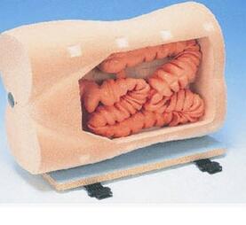 结肠镜检查训练模型 KAR/LV42