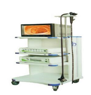 电子结肠镜EMV-400