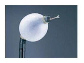 双气囊电子小肠镜 EN-450P5/20