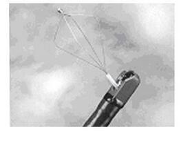 大钳道 广角 头端射水装置 治疗型 ED-450XT5