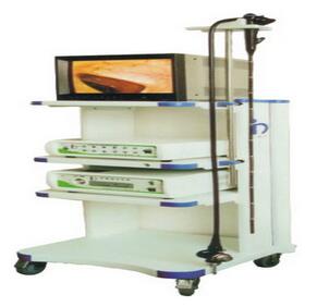 电子上消化道镜(电子胃镜)EMV-200
