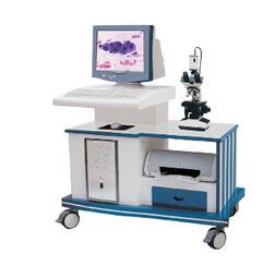 白带动静态图像分析系统