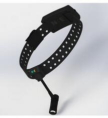 医用LED头灯 EL-P35