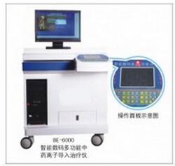 中频药物离子导入治疗仪 BE-6000