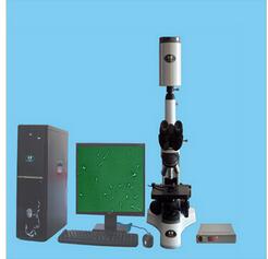 全自动精子分析仪 SJ-TMDI608