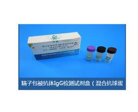 精子包被抗体检测试剂 BRED-012