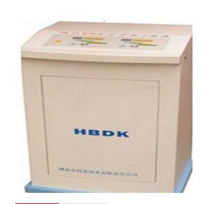 前列腺治疗仪 DK-IA
