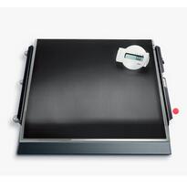 电子平台秤seca 675