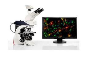 徕卡显微镜 DM2500 & DM2500 LED