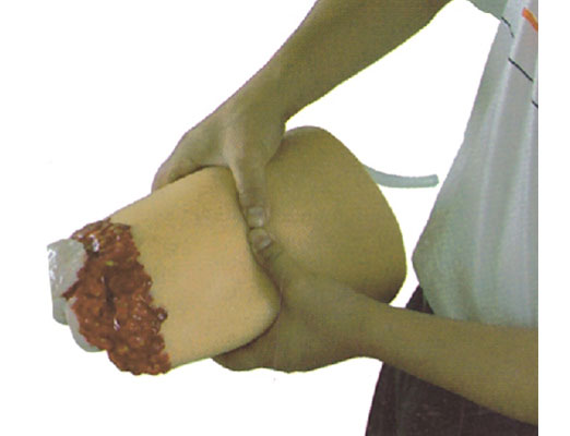 下肢外伤断肢止血模型​KAS/H3008