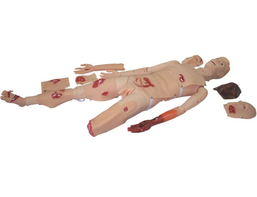 创伤模型KAS/110