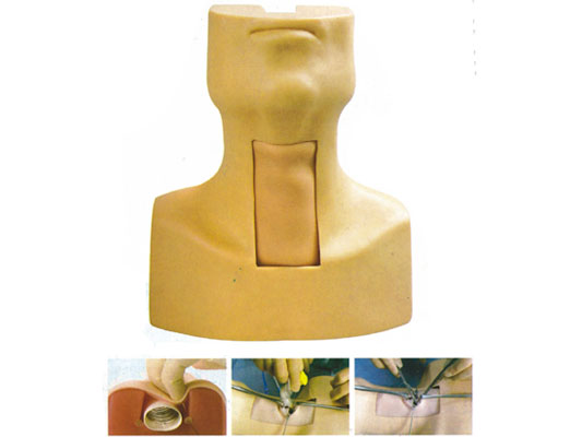 2011081548587377.jpg 2011081548587377.jpg