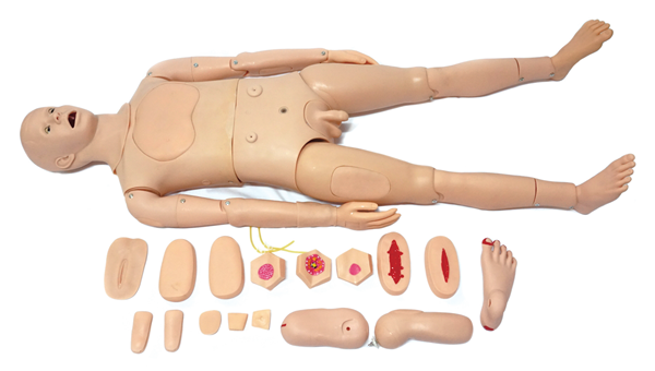 全功能护理人训练模型（男性）​KAS/H125