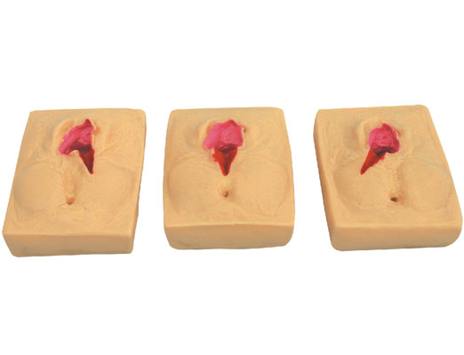 硅胶会阴切开缝合练习模型(3件/套)KAS-HY