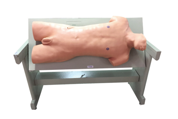  穿刺训练模型​KAS/CK810