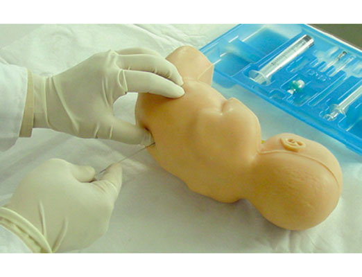 新生儿腰穿刺模型​KAS/CK34001