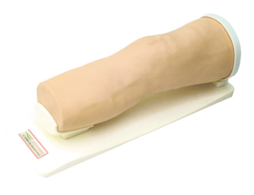 膝关节腔内注射模型KAS/CK20135