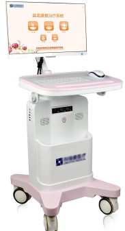 生物反馈盆底康复治疗系统