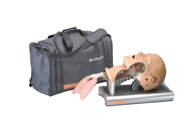 安保气道管理模型