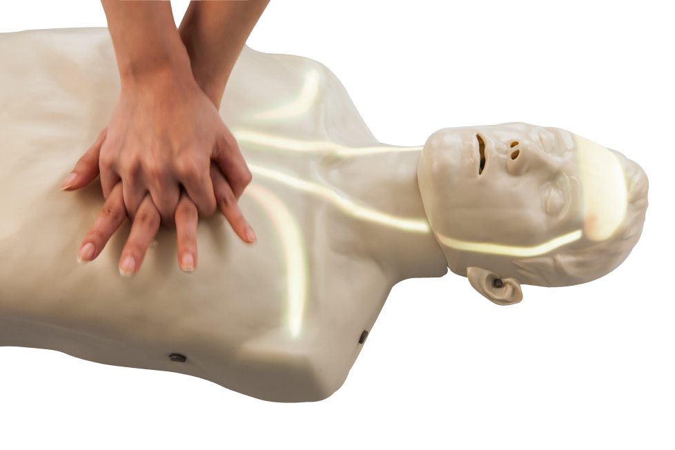 安保血流可视化CPR培训模型