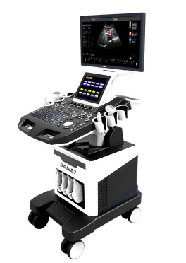 大为推车式彩色多普勒DW-T5