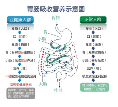 胃肠动力治疗仪