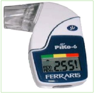 美国肺功能测定仪 PIKO-6型