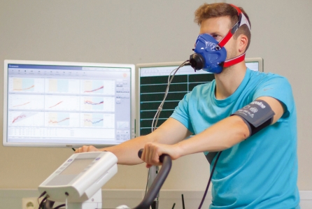 意大利科时迈营养代谢.png 意大利科时迈营养代谢.png