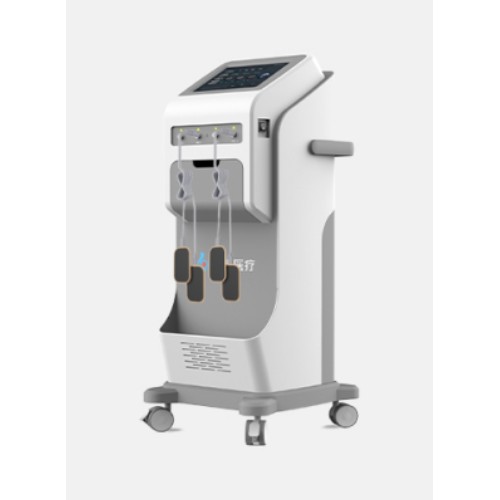 乐邦中医定向透药治疗仪YK一TYY-600   