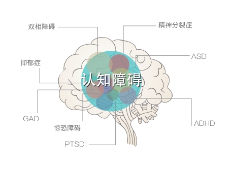 认知功能障碍
