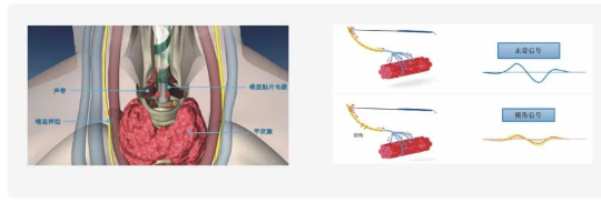 QQ截图20240531111220.png QQ截图20240531111220.png