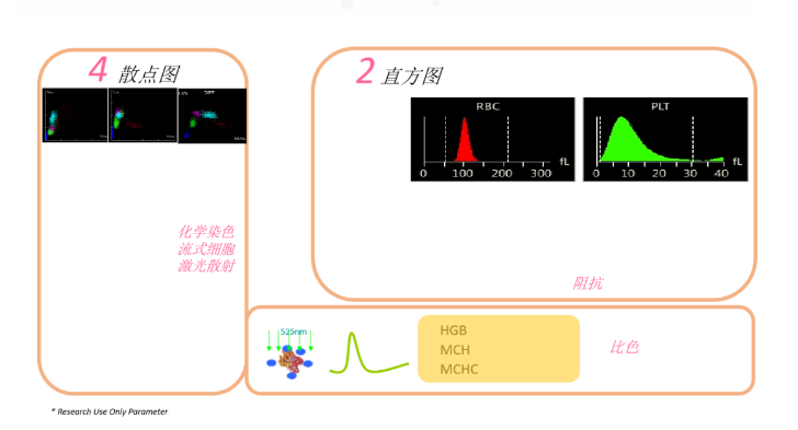 QQ截图20240604101406.png