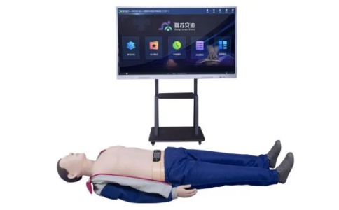 心肺复苏模拟人 心肺复苏模拟人