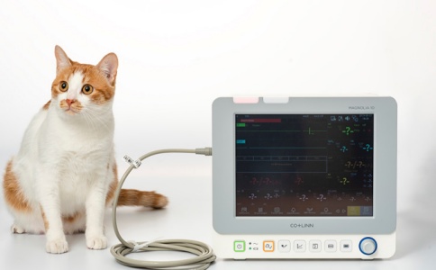 动物监护仪 动物监护仪