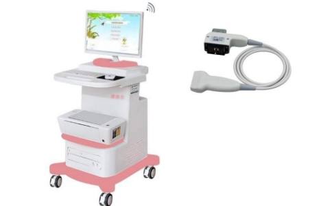 骨密度仪 骨密度仪