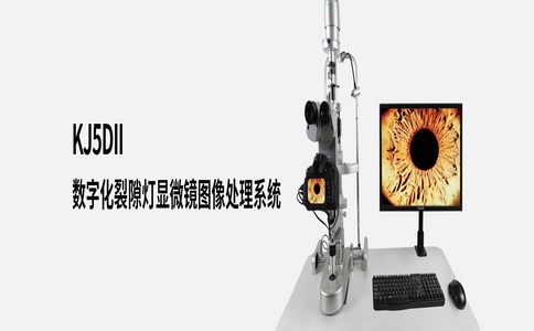 20250321_裂隙灯_20250321_130638_9974.jpg 20250321_裂隙灯_20250321_130638_9974.jpg