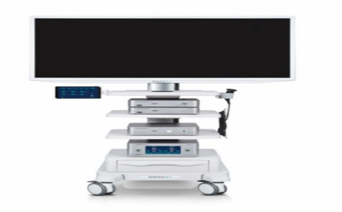 20250401_荧光内窥镜品牌_20250401_134022_8836 04-01-2025.jpg 20250401_荧光内窥镜品牌_20250401_134022_8836 04-01-2025.jpg