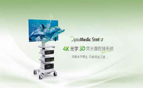 20250416_3D腹腔镜品牌_20250416_130148_9352.jpg 20250416_3D腹腔镜品牌_20250416_130148_9352.jpg