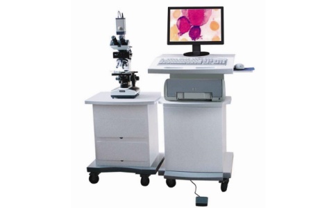 病理图文系统 病理图文系统