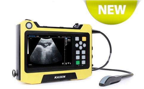 凯信全数字B型超声诊断仪KX5600E