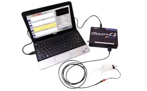 玉研小动物脉搏血氧测量仪