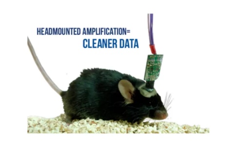 Pinnacle小动物脑电记录仪